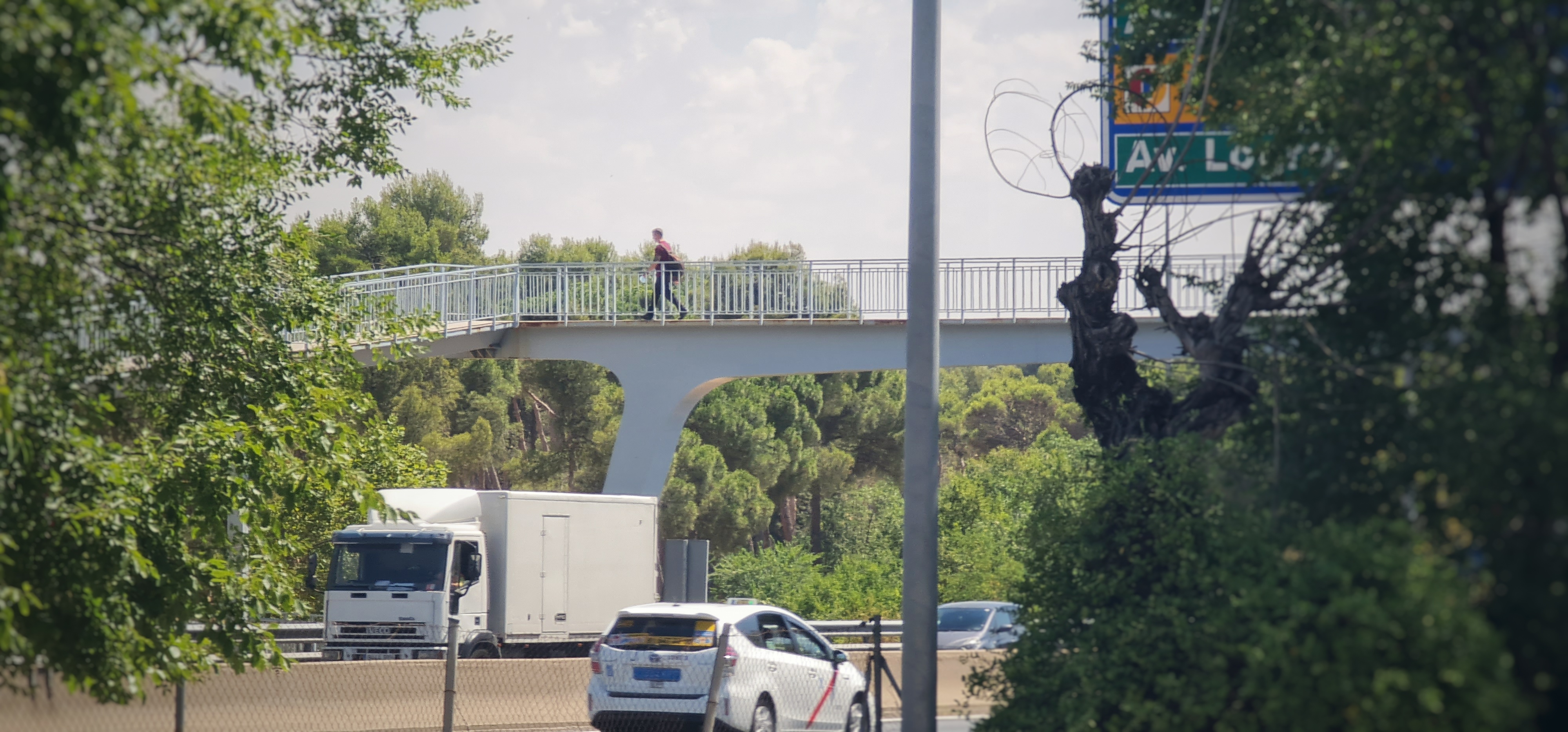 Corte nocturno Corte nocturno