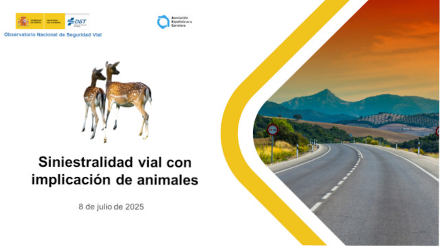 La siniestralidad vial con implicación de animales