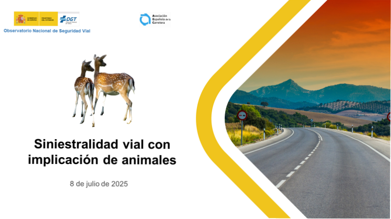 Portada Jornada de siniestralidad vial con implicación de animales