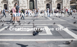 Creando ciudades atractivas (EN)