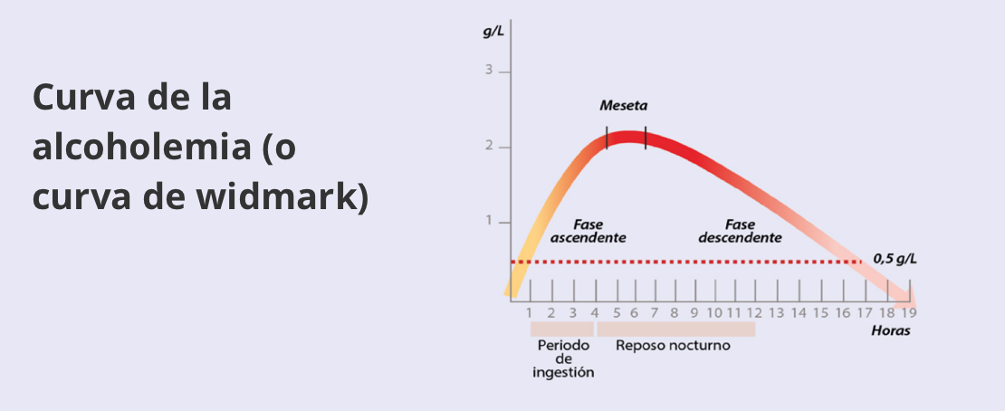 lava Literatura cavidad DGT - Consumo de alcohol