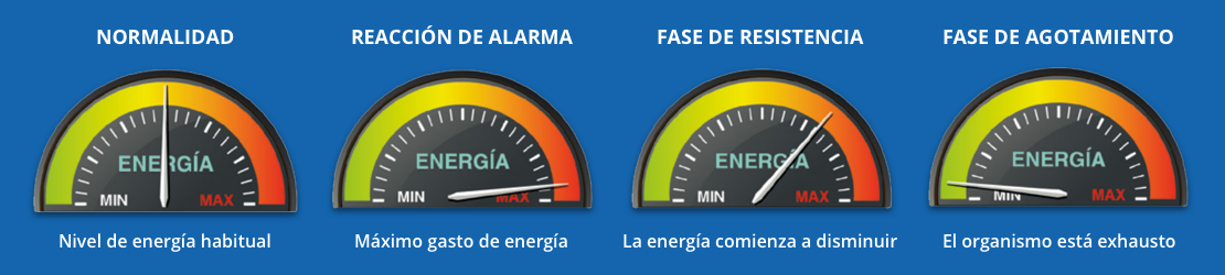 ¿Cómo afecta el estrés a la conducción?