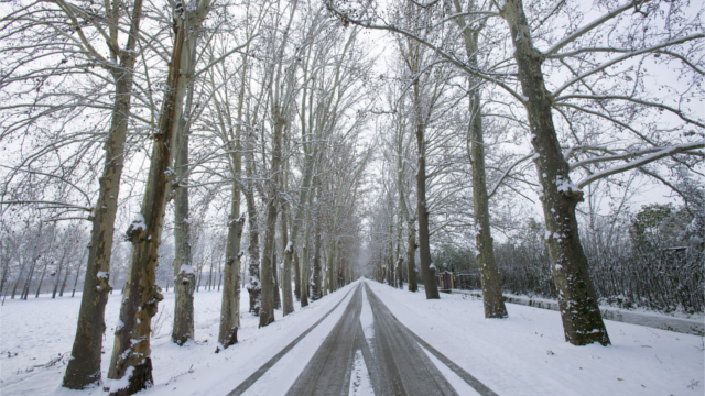 Ante un viaje imprescindible y justificado, la DGT recomienda informarse del estado de las carreteras por previsión de nevadas