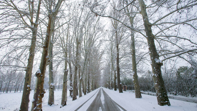 Imprescindible planificar el viaje y consultar el estado de vialidad de las carreteras antes de realizar desplazamientos