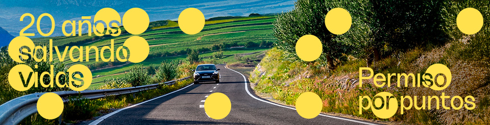 Coche de frente en una carretera con curvas y quitamiedos a la derecha. Se muestran textos en amarillo sobre la imagen