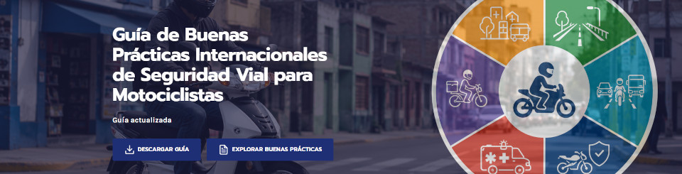 Imagen de la página web dónde está alojada la Guía de buenas prácticas internacional de seguridad vial para motociclistas