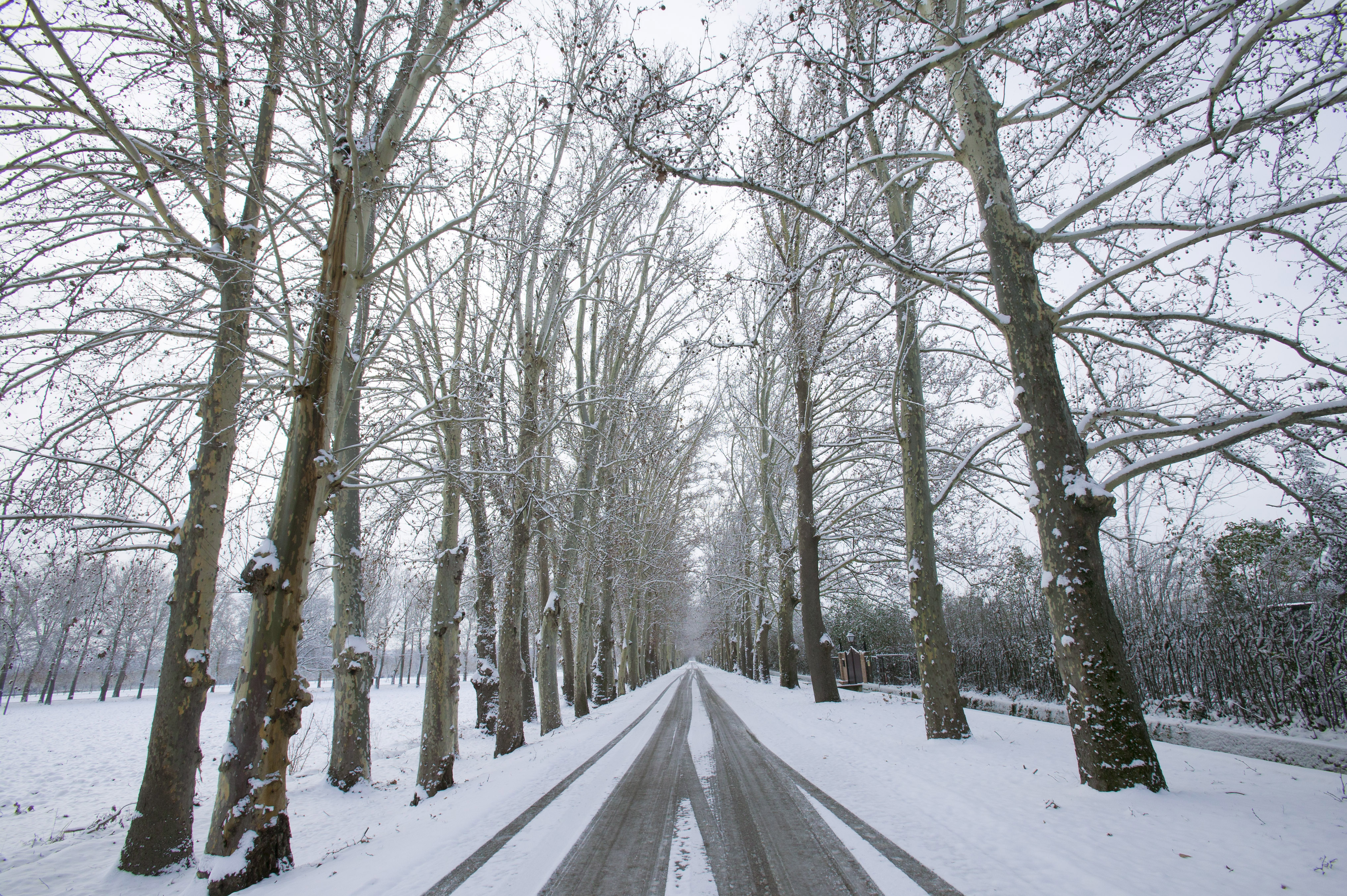 temporal de nieve filomena