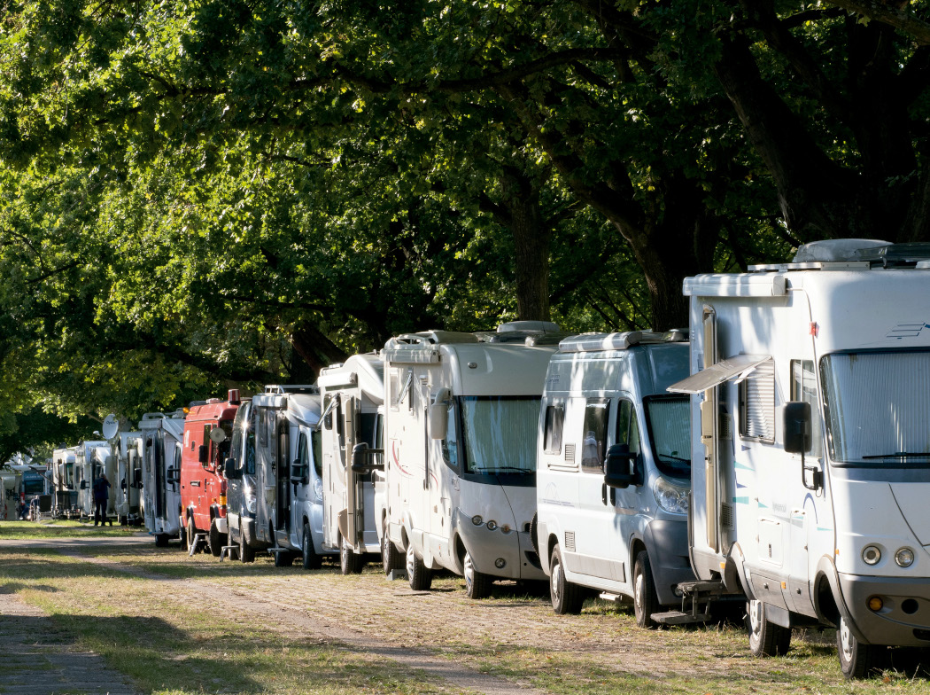 Autocaravanas estacionadas en fila junto a una zona arbolada