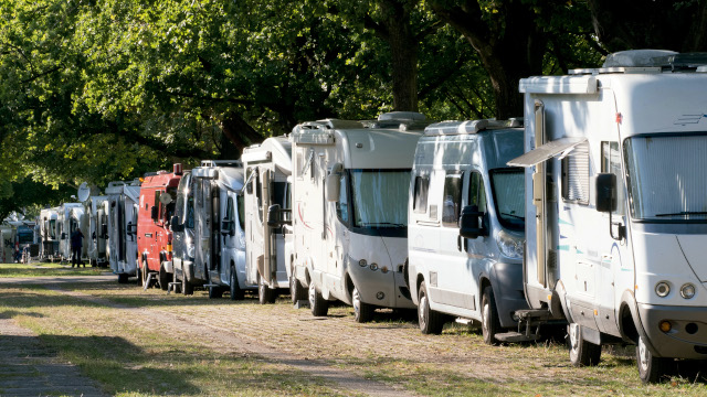 Autocaravanas estacionadas en fila junto a una zona arbolada