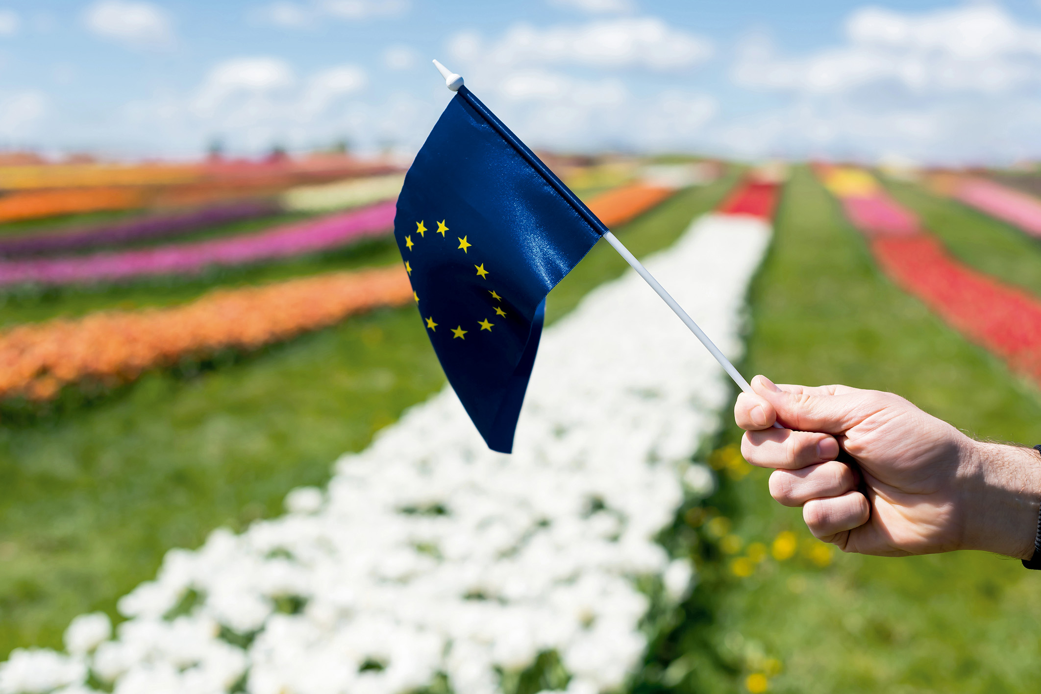 Mano ondeando una bandera de la Unión Europea pequeña