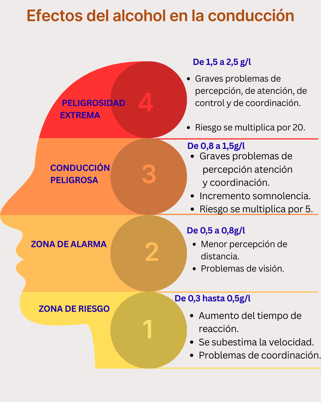 infografía de los efectos del alcohol en la conducción