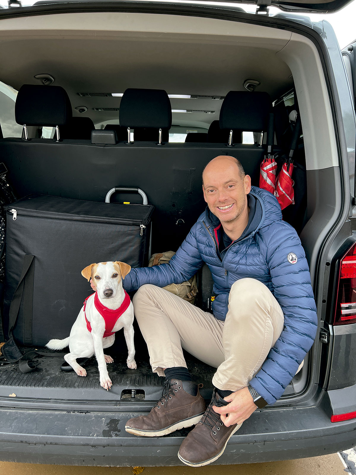 MASCOTAS: La DGT advierte que esta no es la forma correcta de llevar al  perro en el coche