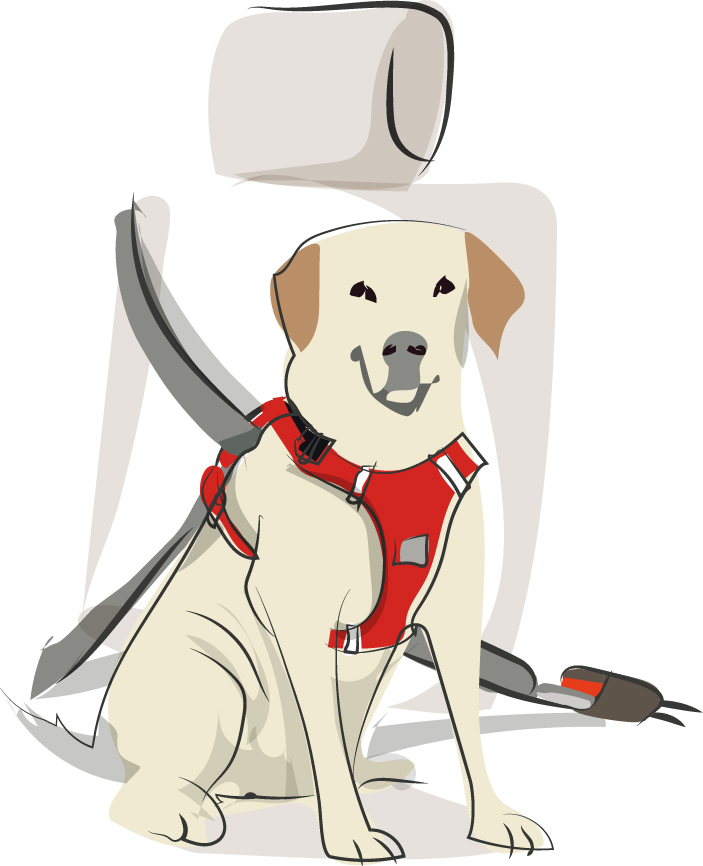 Dibujo de un perro con un arnés