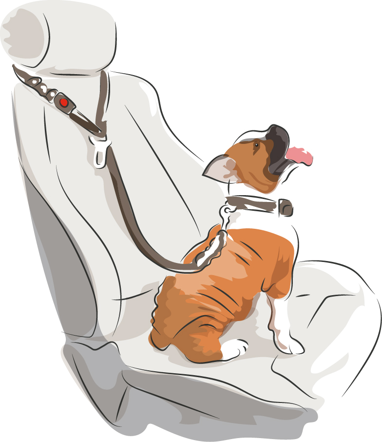 Dibujo de un perro con una correa atada a un asiento de un vehículo