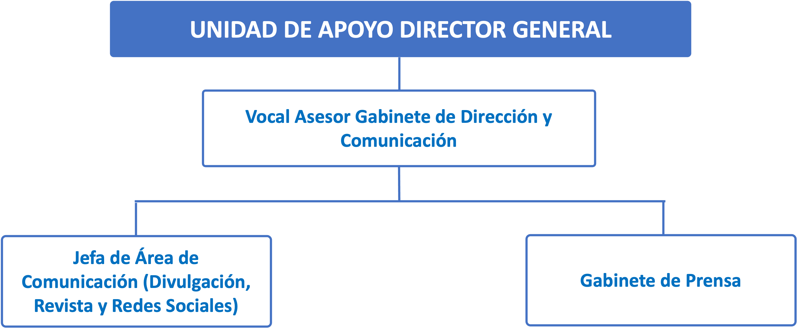 Organigrama Unidad de Apoyo Director General